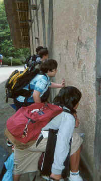 alexw.jpg (26141 bytes)