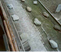 melissar.jpg (25159 bytes)